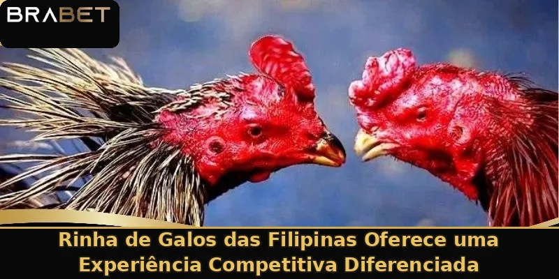 Rinha de Galos das Filipinas Oferece uma Experiência Competitiva Diferenciada